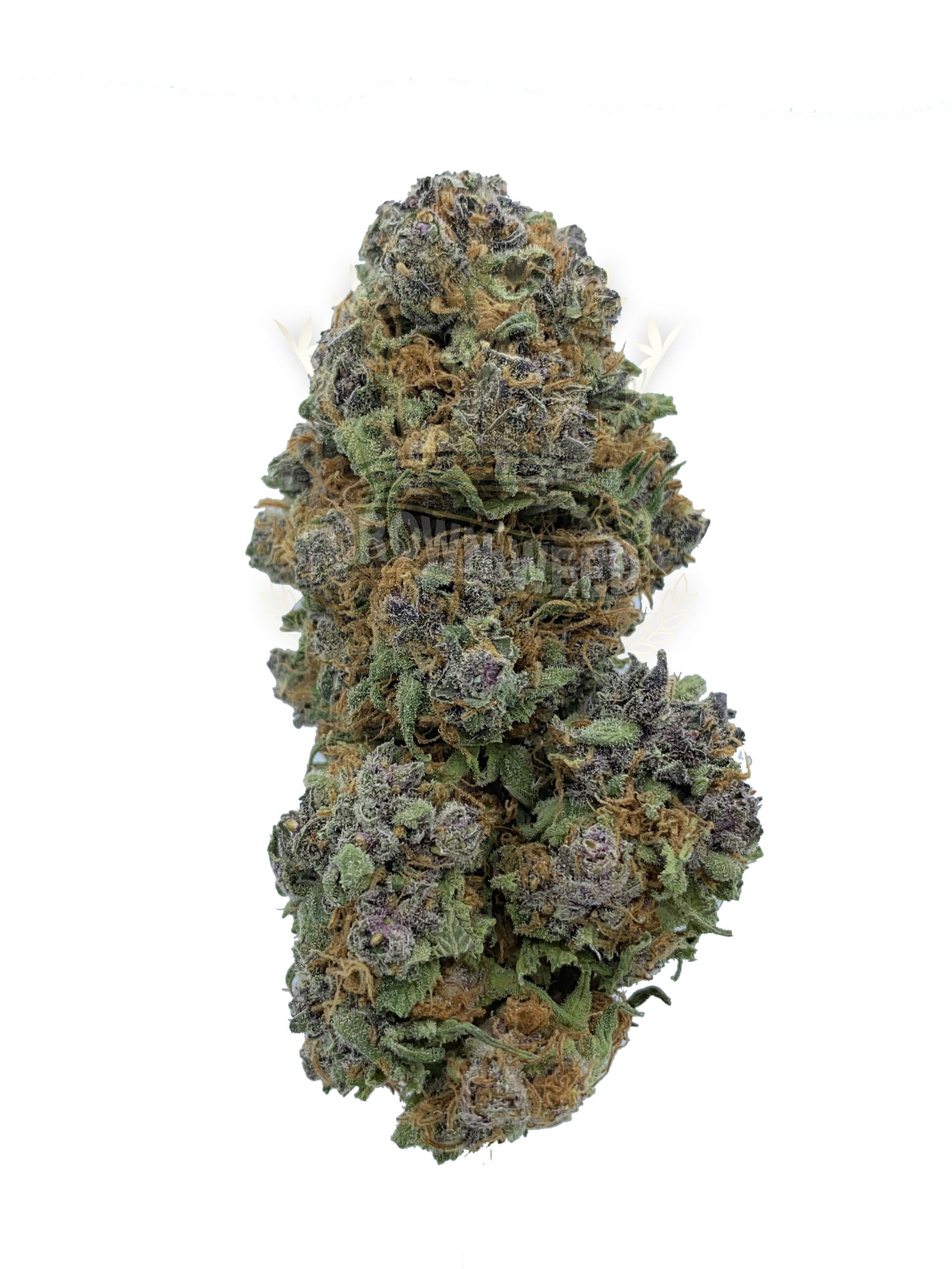 Know every detail of the Buy Weed service online for you to enjoy now. post thumbnail image